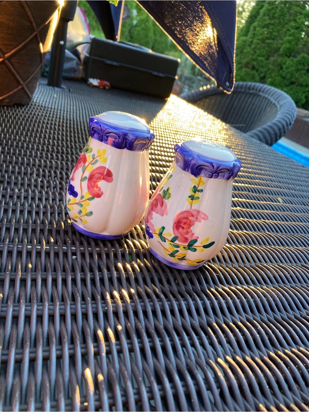Floral Hand-Painted Salt & Pepper Shakers - Blue Trim